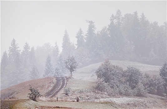 下雪,山,改变,季节,冬天,喀尔巴阡山脉地区