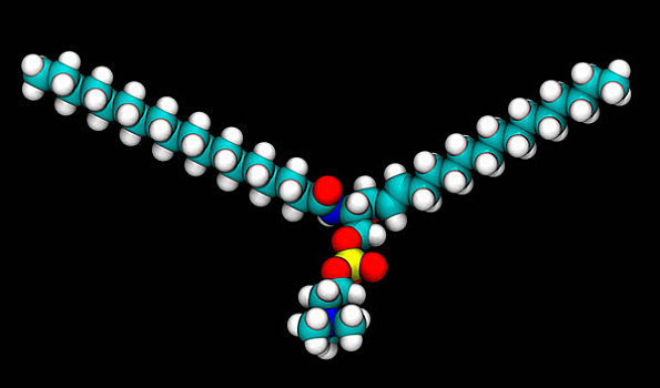 分子,模型