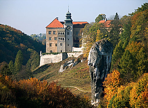 城堡,国家公园,秋天,波兰