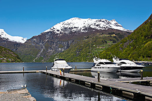 游艇,峡湾,山,挪威,欧洲