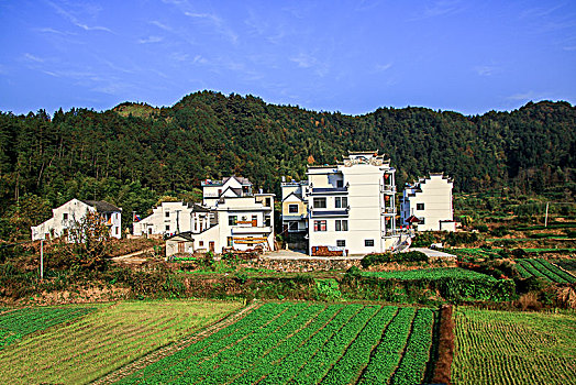 江西省婺源县江湾镇大畈村民居乡村住宅建筑景观