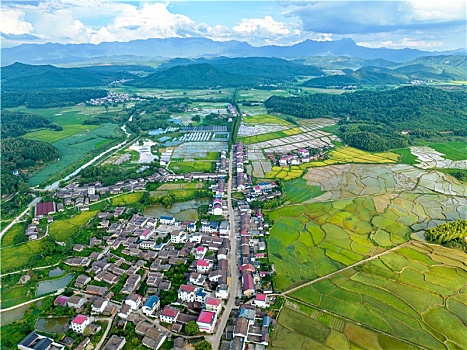 江西金溪,夏日乡村美