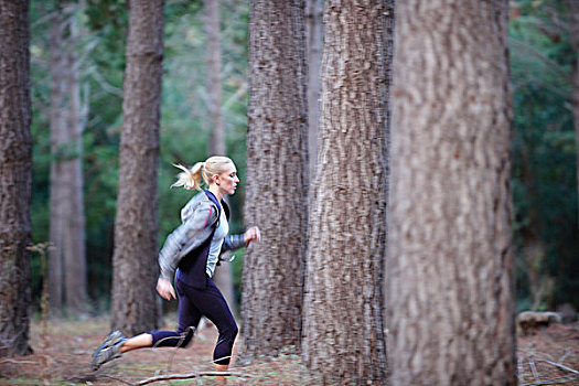 女人,跑,树林