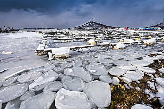 渤海湾的冬天