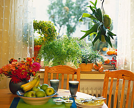 桌子,瓷器,水果,花,植物,窗户