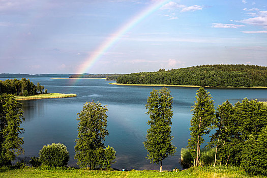 彩虹,夏天,上方,湖,白俄罗斯
