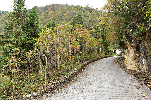 农村山区道路