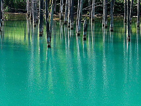 蓝色,水塘