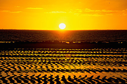 日落,上方,海洋,珊瑚,湾,海洋公园,西澳大利亚,澳大利亚