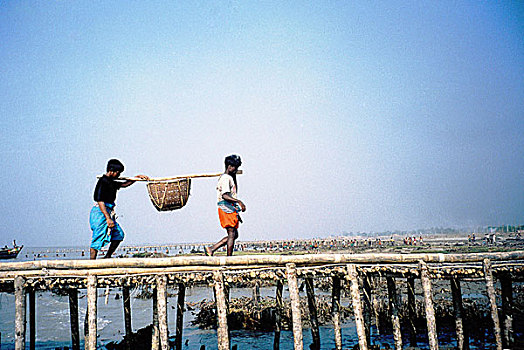 鱼,出售,鲜鱼,拖船,红点鲑,库尔纳市,孟加拉,2004年