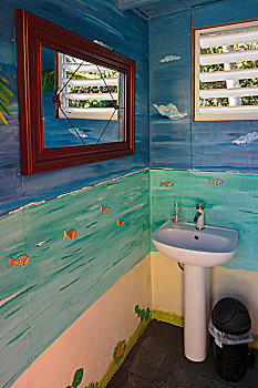 加勒比,安圭拉,海洋生物,描绘,墙壁,浴室