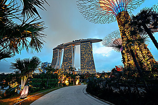 新加坡,花园,湾,四月,局部,政府,策略,品质,生活,绿色植物,植物