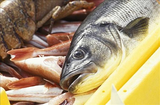 海鲷,鱼肉,市场