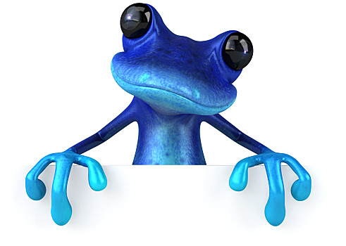 蓝色,青蛙