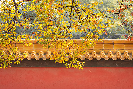 南京朝天宫深秋的景色