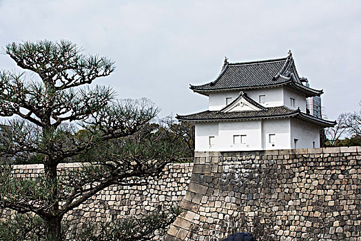 城堡,墙壁,大阪,日本