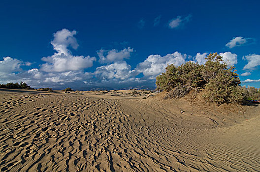 沙丘,沙漠,大卡纳利岛,加纳利群岛,西班牙