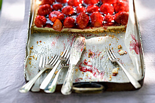草莓,香草,蛋糕,烤盘