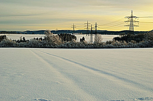 雪,褪色的,轮胎跟踪,水力发电,电源线,在领域,在冬季,在黎明,附近的,符腾堡,德国