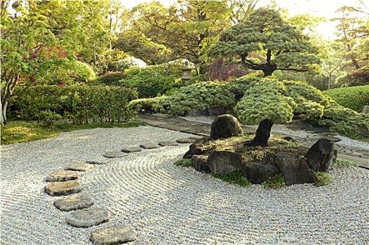 石头,花园