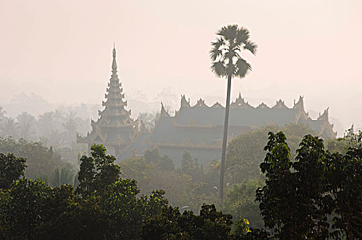 风景,大金寺,塔,佛教寺庙,仰光,缅甸,亚洲