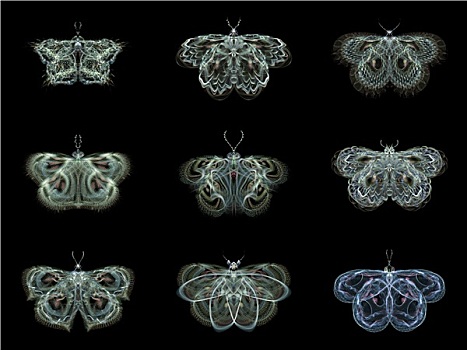 虚拟,不规则图形,蝴蝶