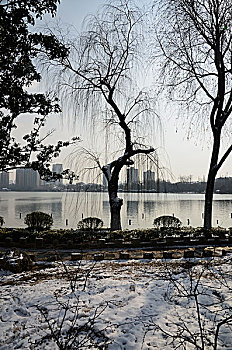 南京雪景