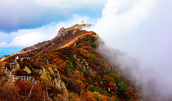 百花山