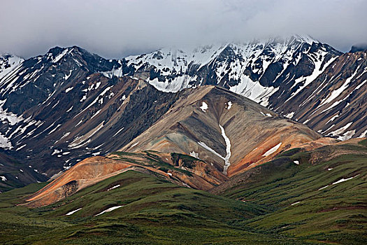 苔原,山脉,德纳里峰国家公园,阿拉斯加