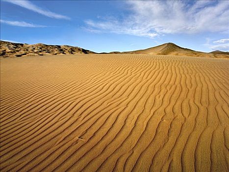 风,波纹,沙丘,莫哈韦沙漠,国家,保存,加利福尼亚