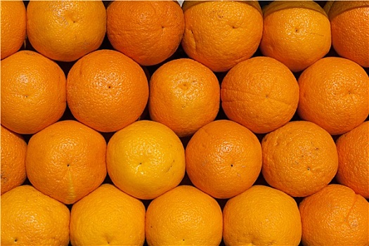 橙色背景
