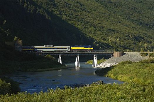 阿拉斯加,铁路,客运列车,出口,隧道,靠近,夏天