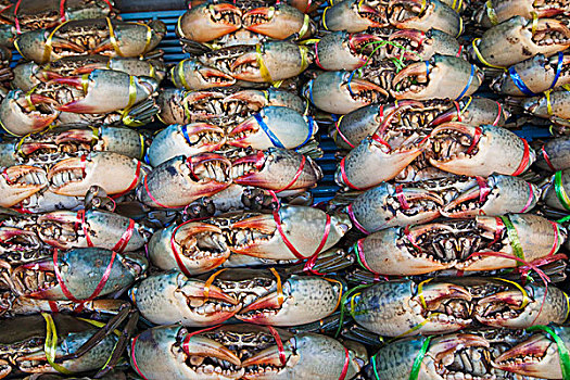 泰国,曼谷,唐人街,市场,展示,蟹肉