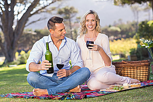 头像,微笑,坐,夫妇,野餐毯,喝,葡萄酒,公共草地