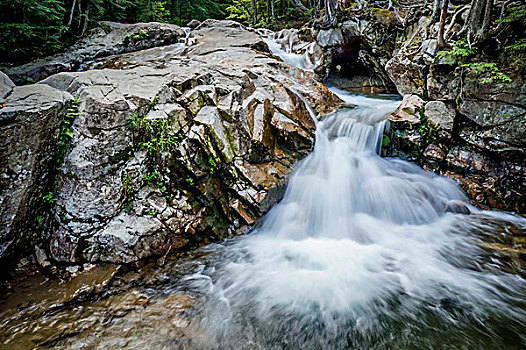 小,瀑布,河,弗兰科尼亚山峡州立公园,怀特山