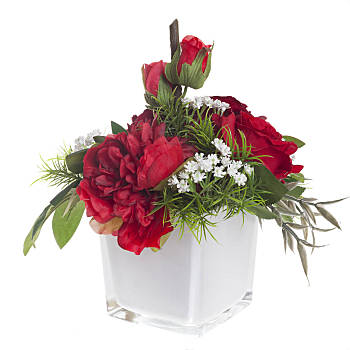 牡丹,飞,蜜蜂,国家,保加利亚,微距,聚焦,留白牡丹,头像,自然玫瑰红色