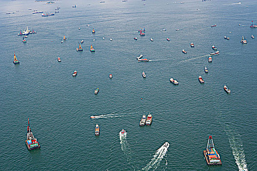 航拍,俯视,维多利亚港,香港