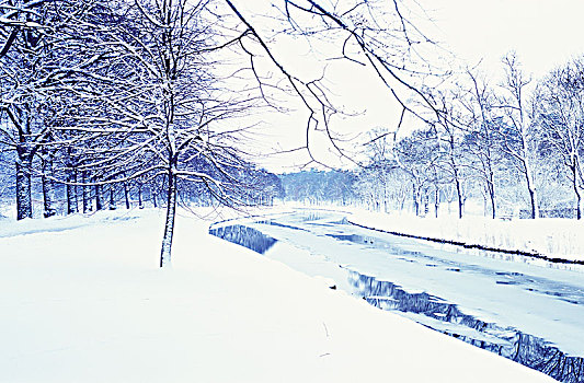 公园,河流,冬天