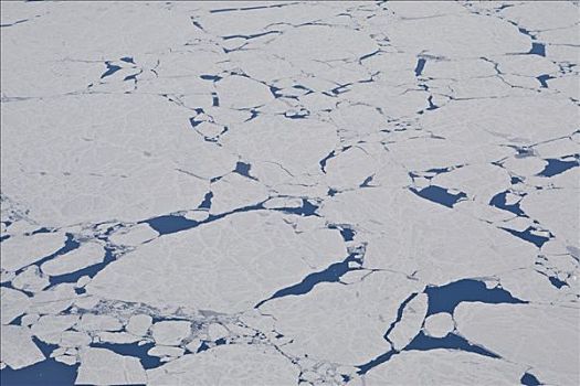 浮冰,哈得逊湾,加拿大,北美