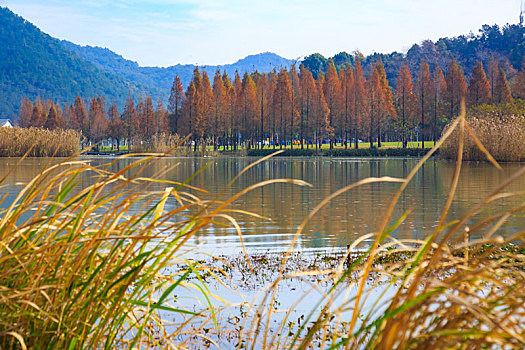 水面,水畔,水岸,阳光