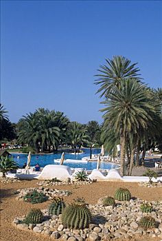 酒店,突尼斯,非洲