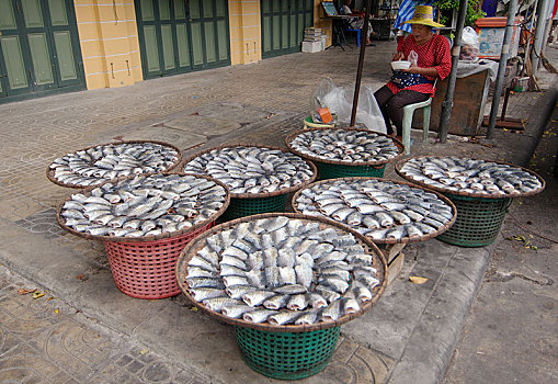销售,鱼,市场,唐人街,曼谷,泰国,亚洲