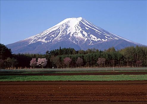 地点,山,富士山
