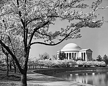 建筑,水岸,杰佛逊纪念馆,华盛顿特区,美国