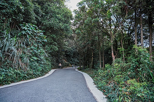 初冬12月登高羊城广州帽峰山沿途美景