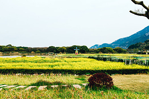 舟山大青山