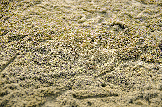 沙,沙粒,沙滩,海滩,沙子,岸,海岸,岸边,海边
