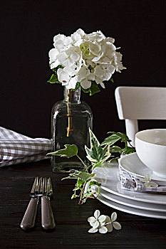 白色,瓷器,嫩枝,常春藤,八仙花属,旧式,玻璃瓶,深色背景