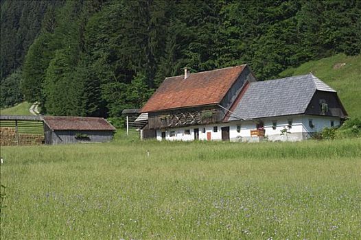农舍,斯洛文尼亚