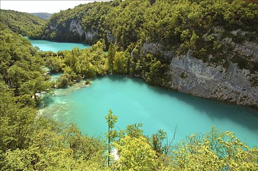 青绿色,湖,豪华,植被,国家公园,克罗地亚